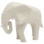 African elephant  - 1