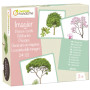 Picture cards, Trees  - 1